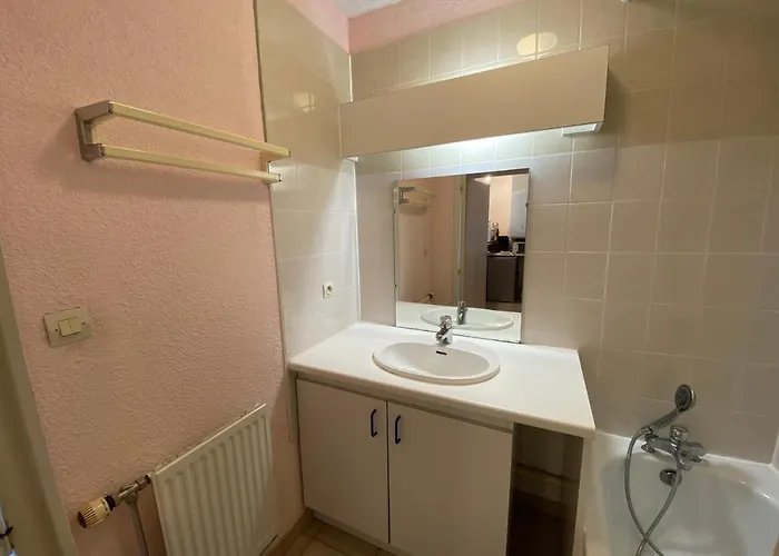 Apartament 4 Pers Avec Garage Et Wifi - Fr-1-716-9 *